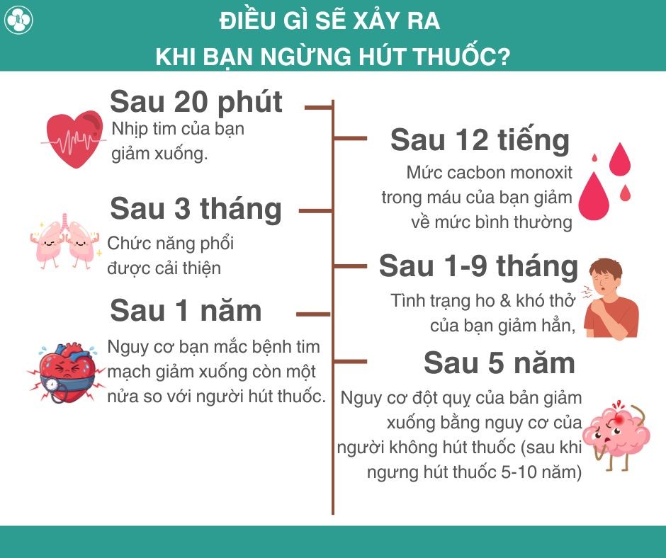 ĐIỀU GÌ SẼ XẢY RA KHI BẠN NGỪNG HÚT THUỐC?