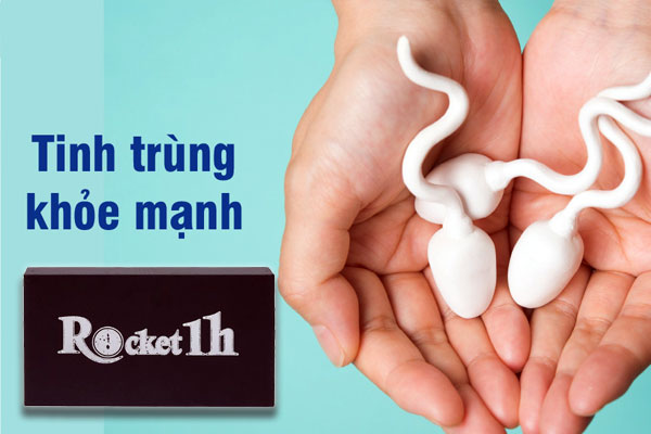 Hỗ trợ cải thiện chất lượng tinh trùng